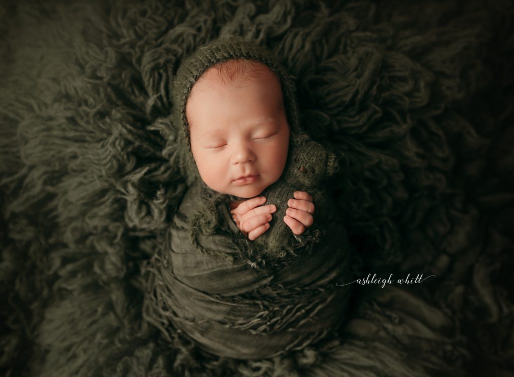 Newborn Portraits Avon Ohio