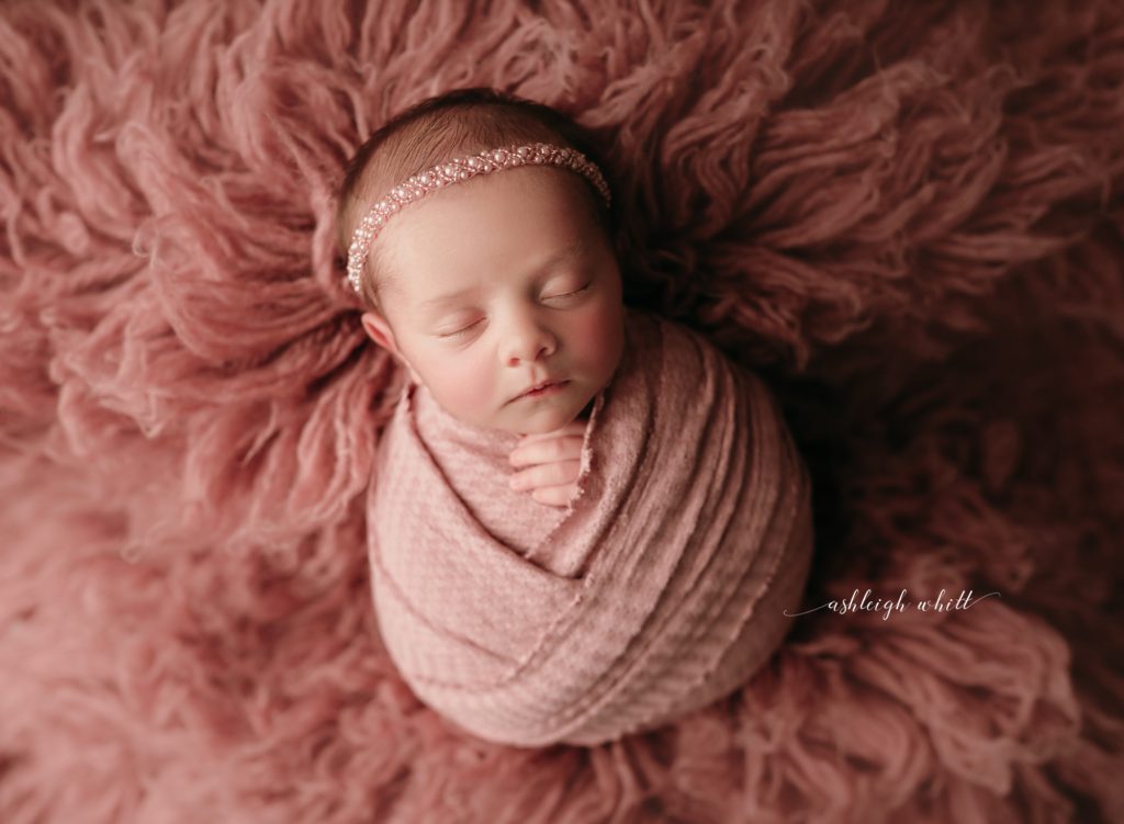 Akron Newborn Photography