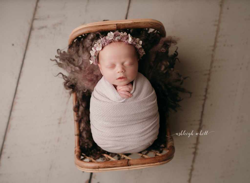 Independence Ohio Newborn Photographer