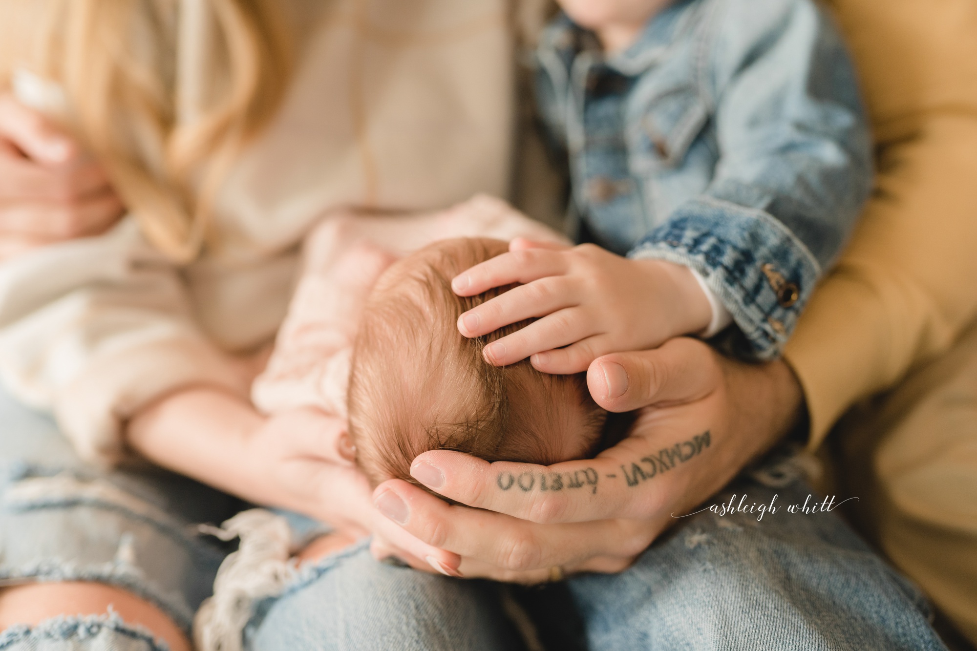 Home Newborn Photographers Cleveland