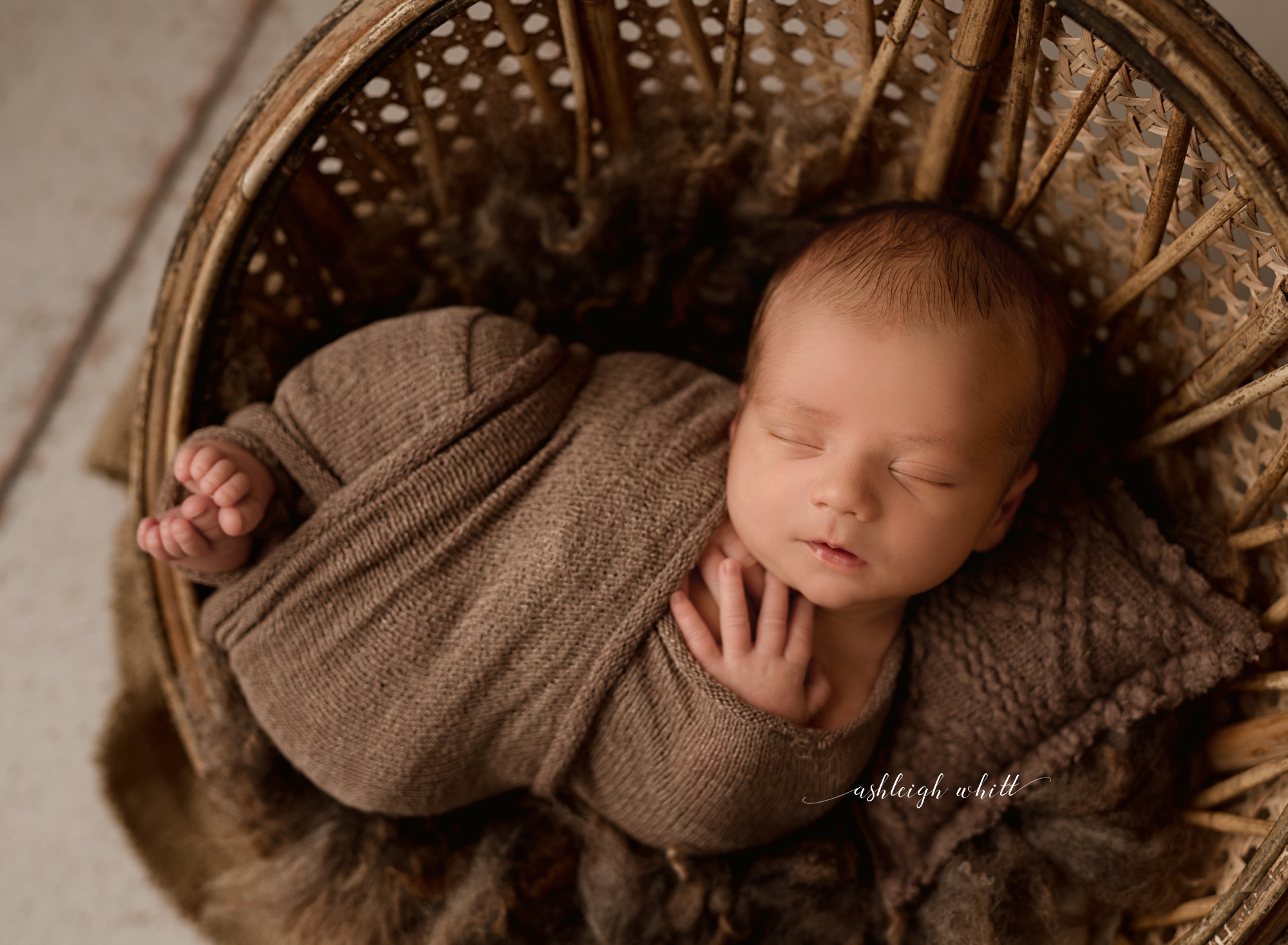 Newborn Photos Brecksville