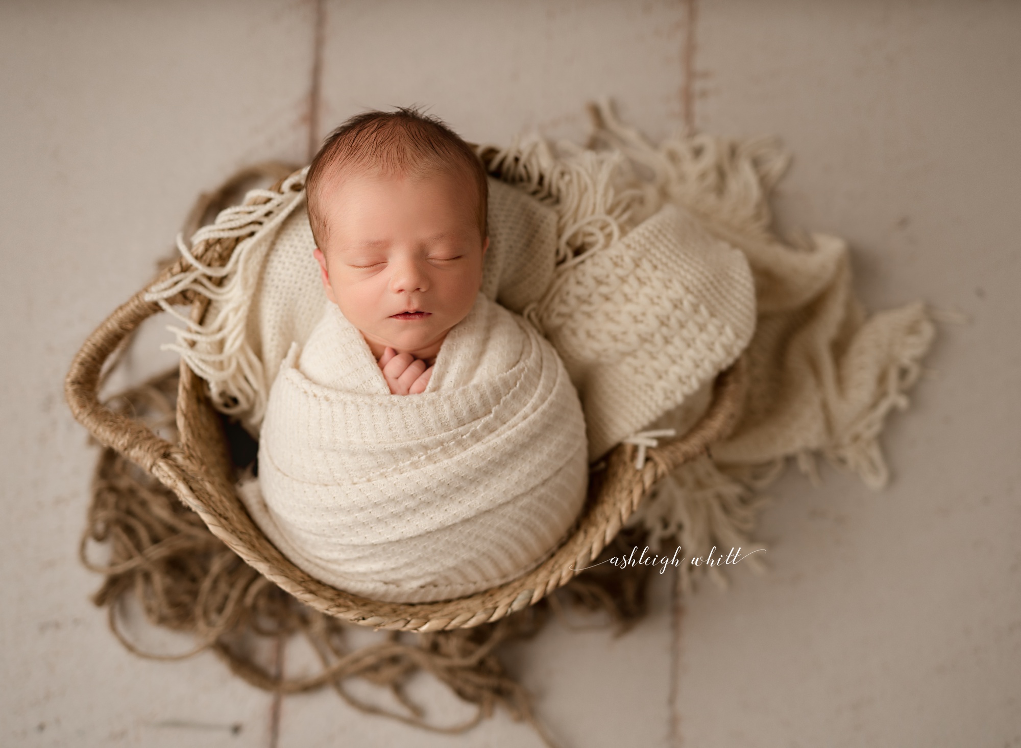 Newborn Photos Brecksville