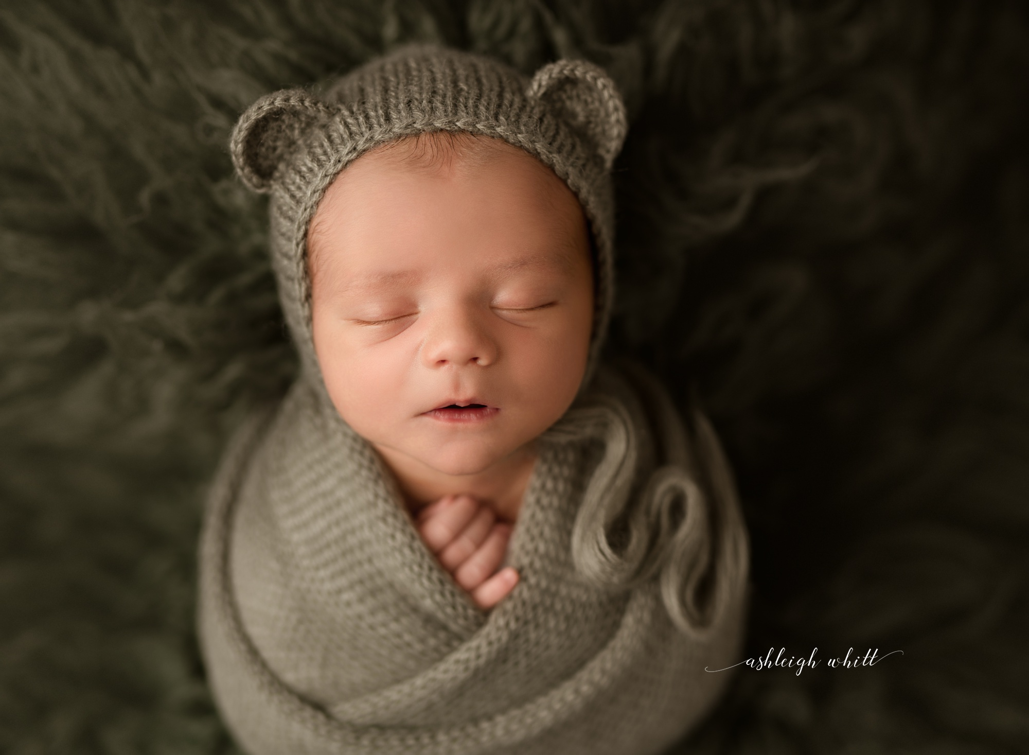 Newborn Photos Brecksville