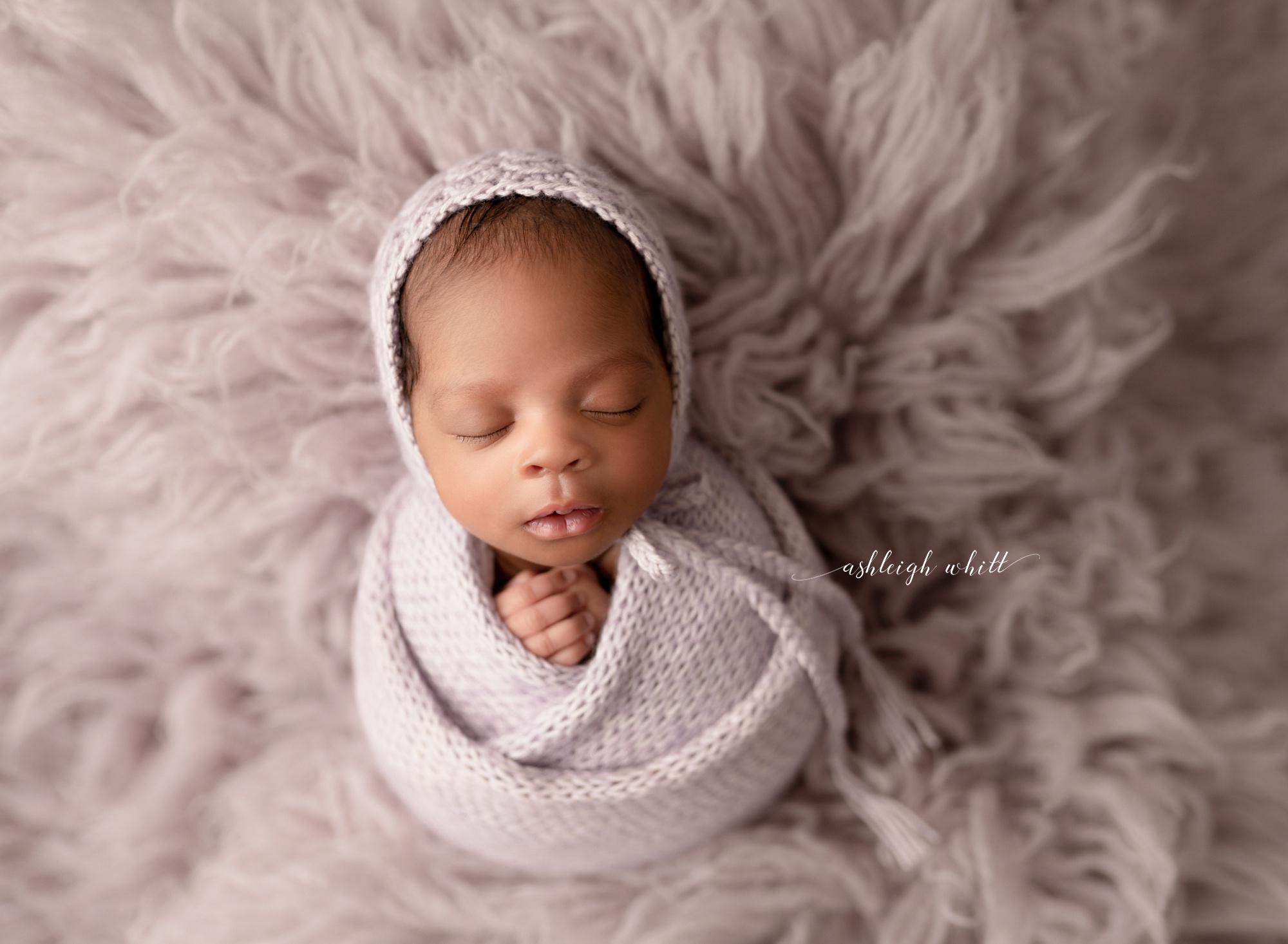 Cleveland Mini Newborn Session