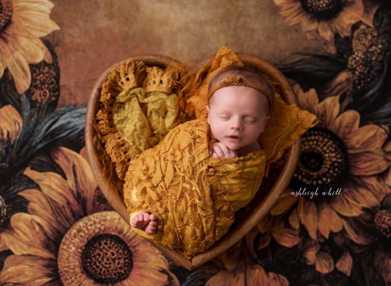 Cleveland Ohio Baby Photographer