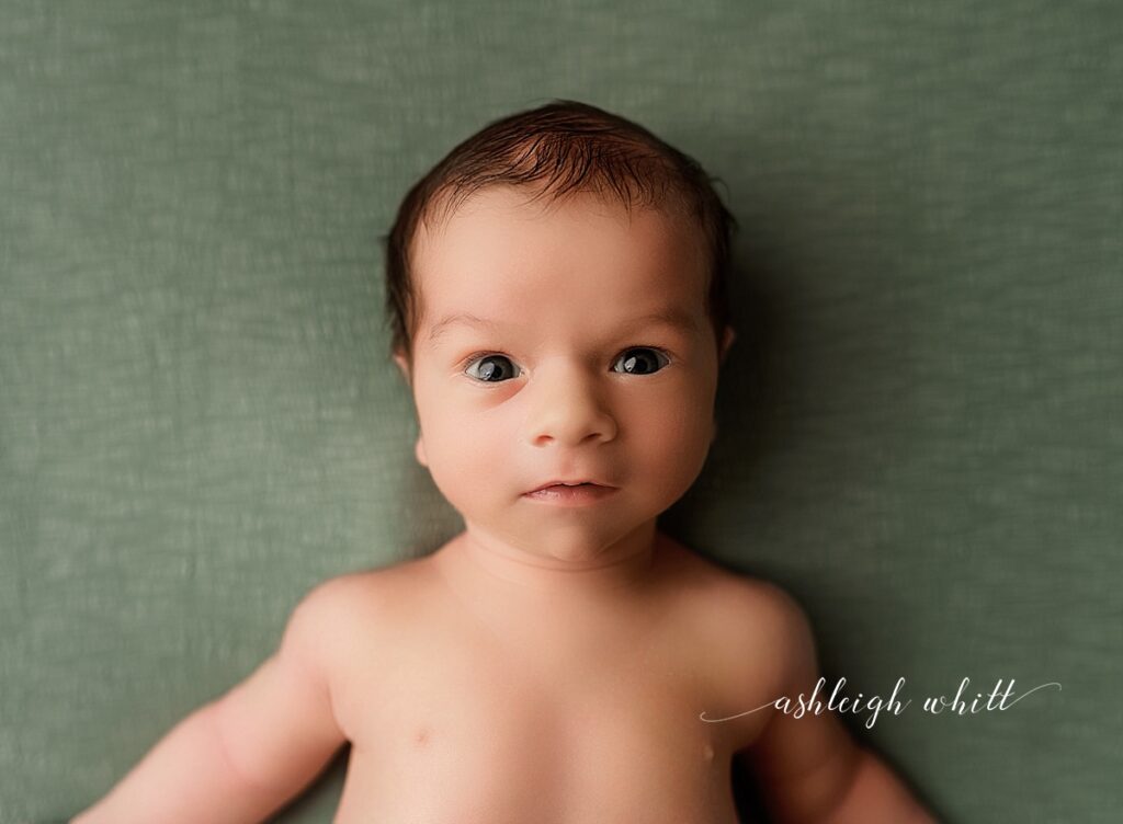 Grafton Newborn Photographer