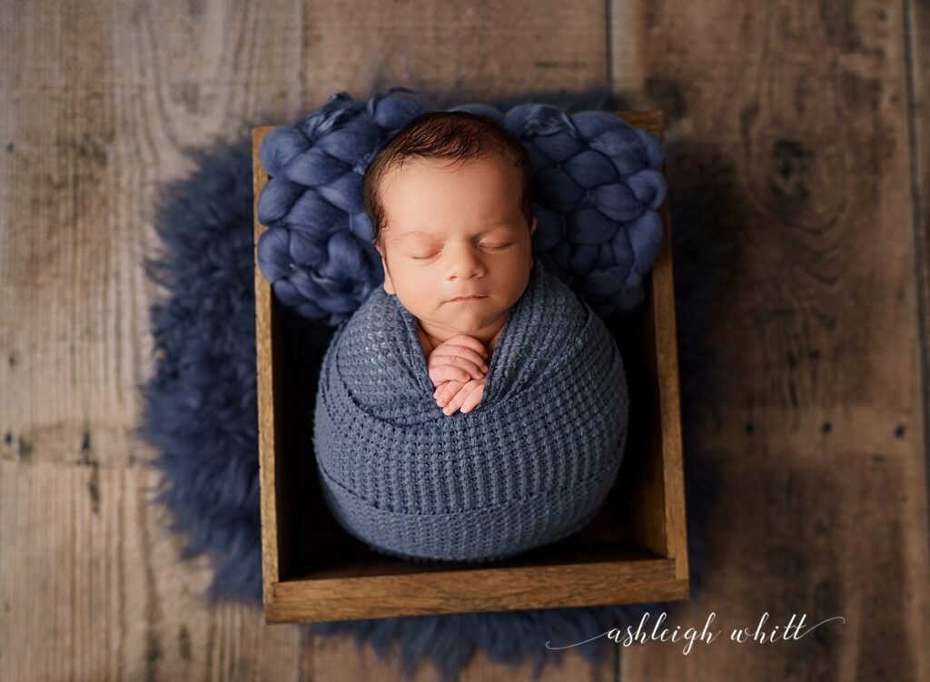 Grafton Newborn Photographer