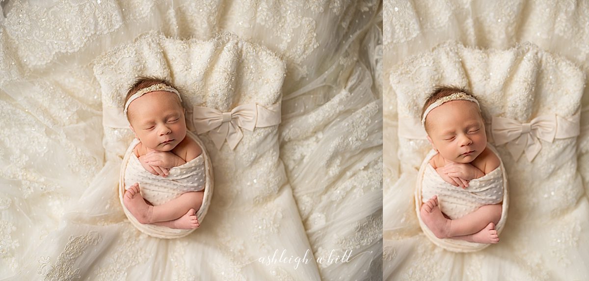 Akron Newborn Photographer