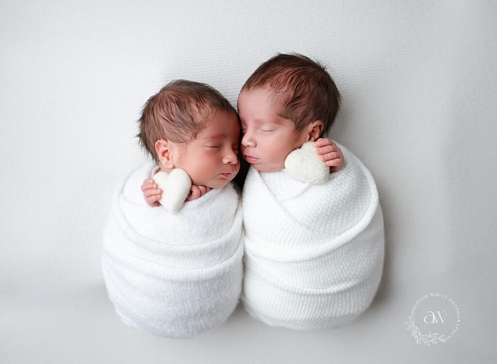 Cleveland Twin Newborn Photos