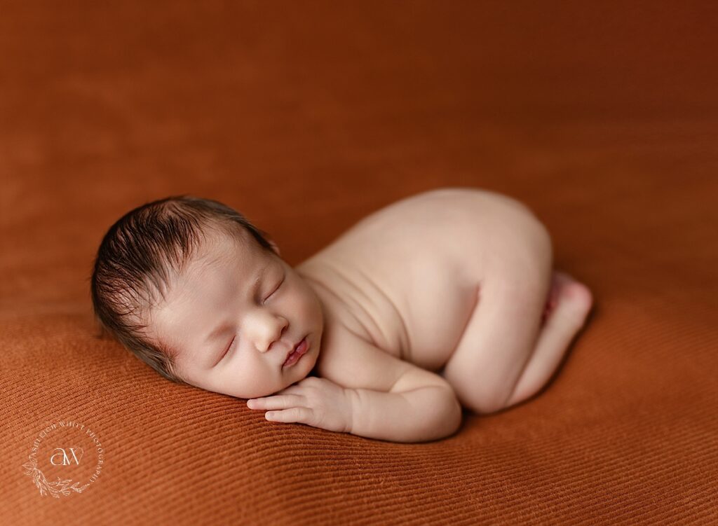 Newborn Photography Cleveland West