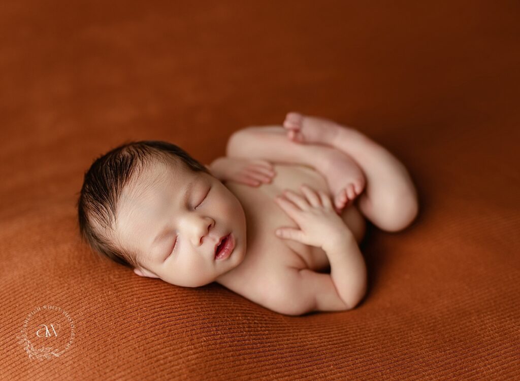 Newborn Photography Cleveland West