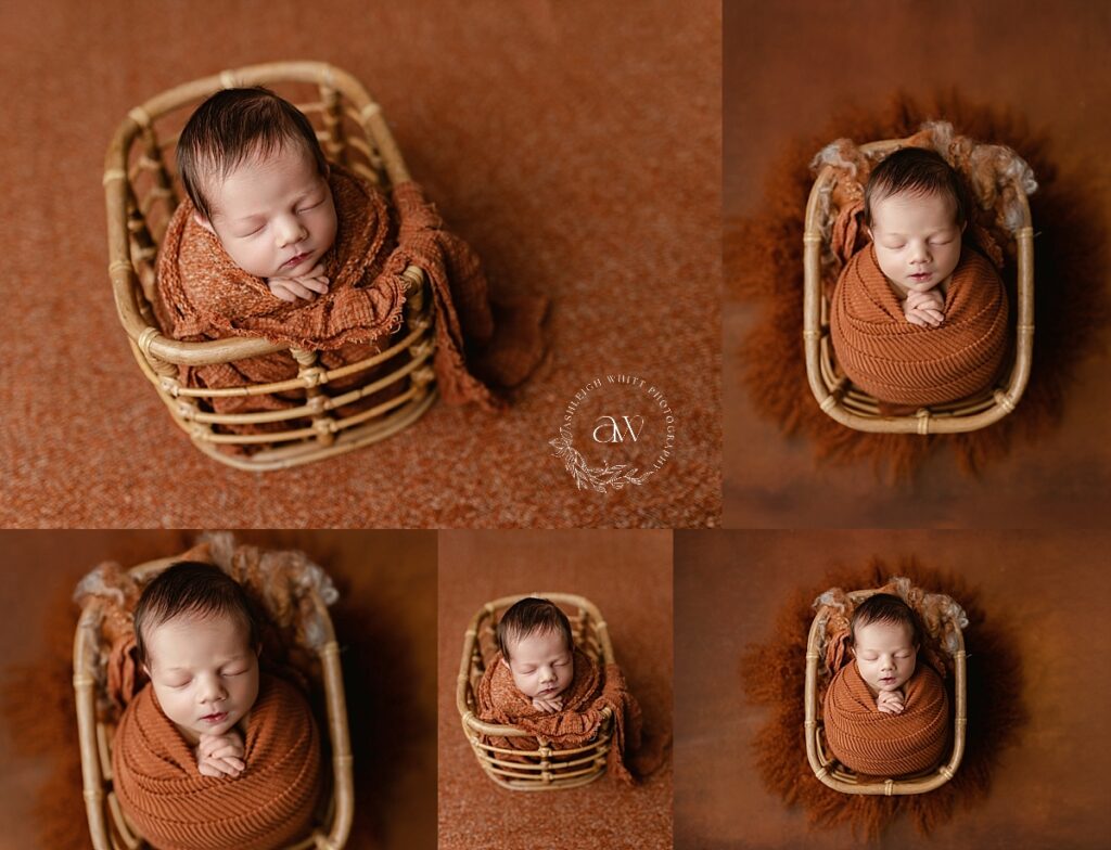 Newborn Photography Cleveland West