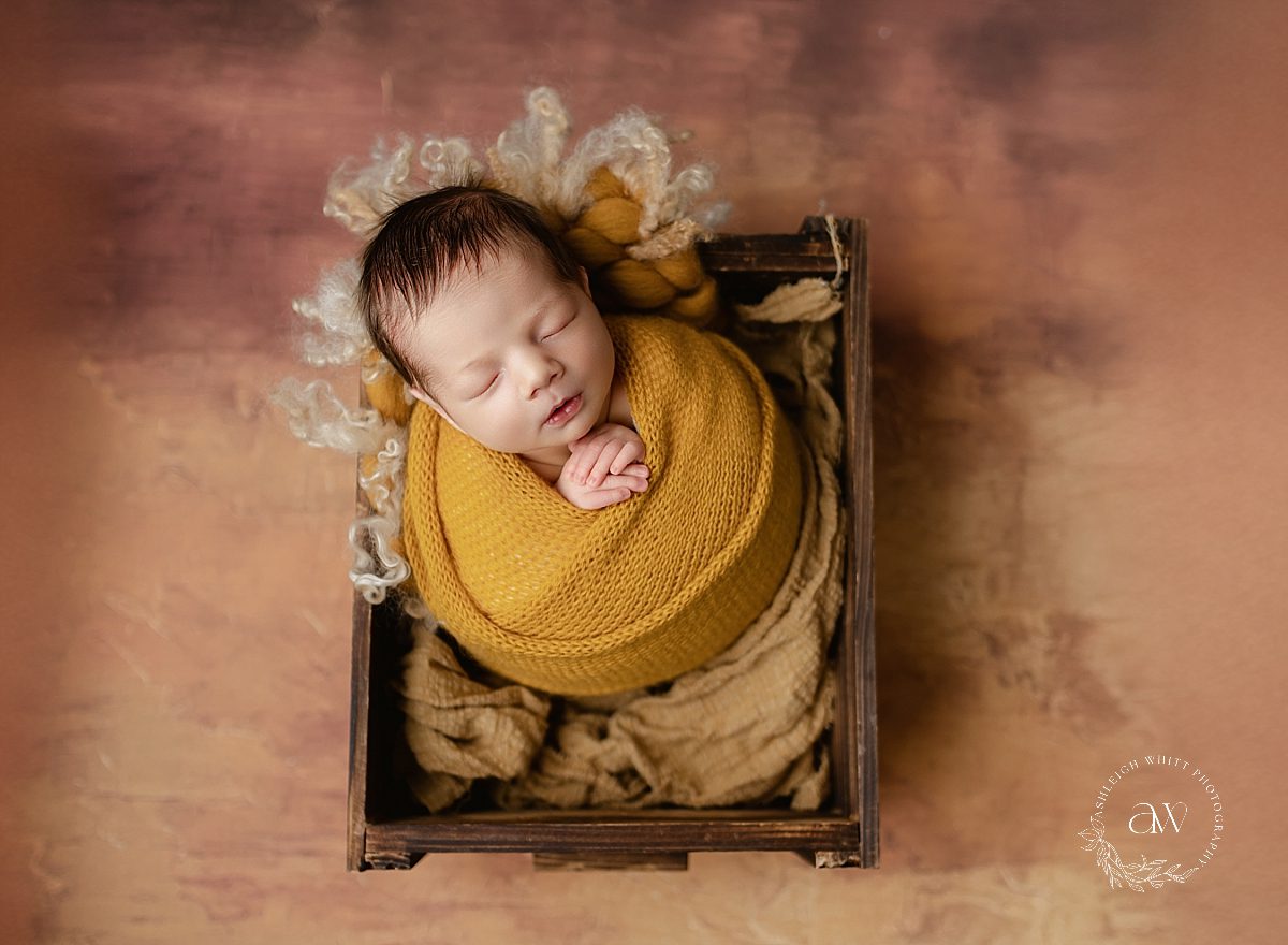 Newborn Photography Cleveland West